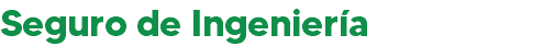 Seguro de Ingeniería